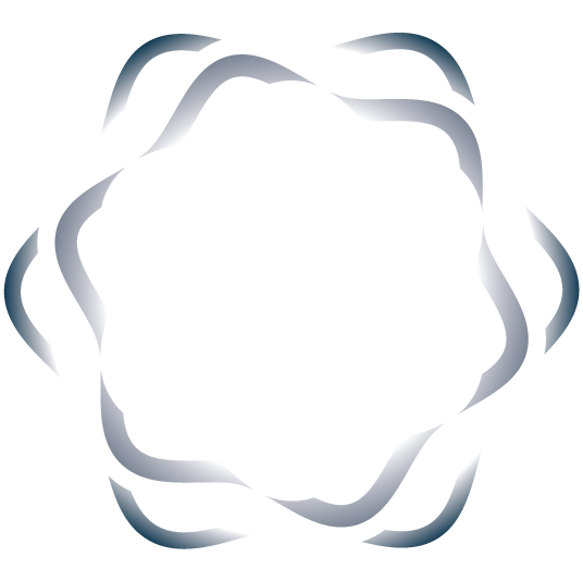 DASH Echo Logo